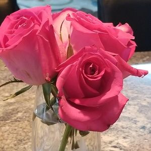 Meet your Posher, Janine